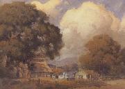 Sunlit Farm unknow artist